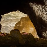 Petr Bambousek/Nature Photographer of the Year