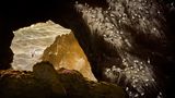 Petr Bambousek/Nature Photographer of the Year