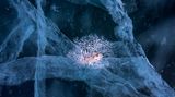 Andrea Pozzi/Nature Photographer of the Year