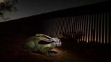 Alejandro Prieto/Nature Photographer of the Year