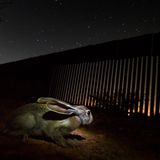 Alejandro Prieto/Nature Photographer of the Year