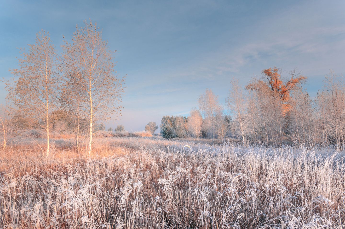 Winterlandschaft