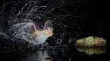 Antonio Leiva Sanchez/Nature Photographer of the Year