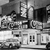 Cotton Club