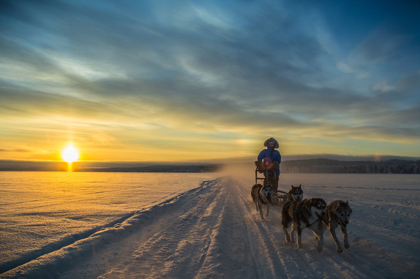 Husky-Schlittentour in Finnisch-Lappland