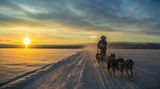 Husky-Schlittentour in Finnisch-Lappland