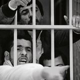 Verhaftungen, Camorra