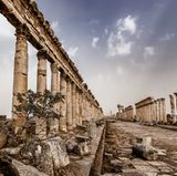 Martin Chamberlain/Historic Photographer of The Year