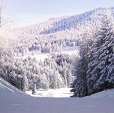 Naturpark Jura vaudois