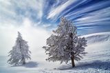 Winterstimmung auf der Rigi