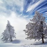 Winterstimmung auf der Rigi