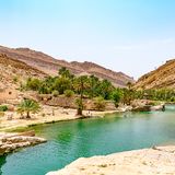 Wadi Bani Khalid in Oman