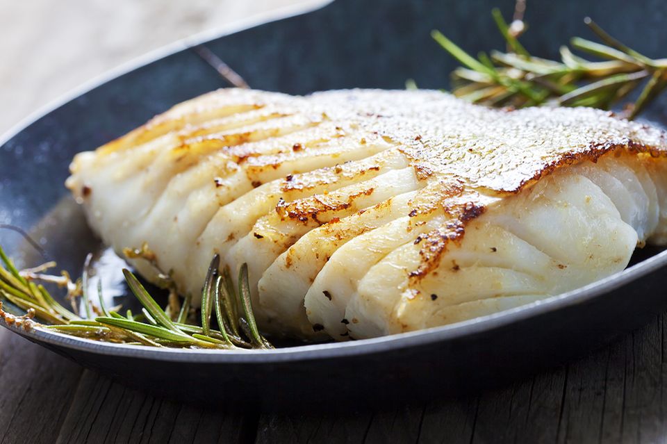 Fisch geo 