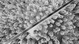 GEO LESERFOTO: Die besten Leserfotos: Januar 2021 - Bild 10
