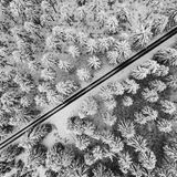 GEO LESERFOTO: Die besten Leserfotos: Januar 2021 - Bild 10