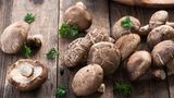 Shiitake Pilze