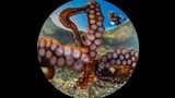 Gaetano Dario Gargiulo/Ocean Art 2020 Contest
