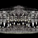 Jenny Stock/Ocean Art 2020 Contest