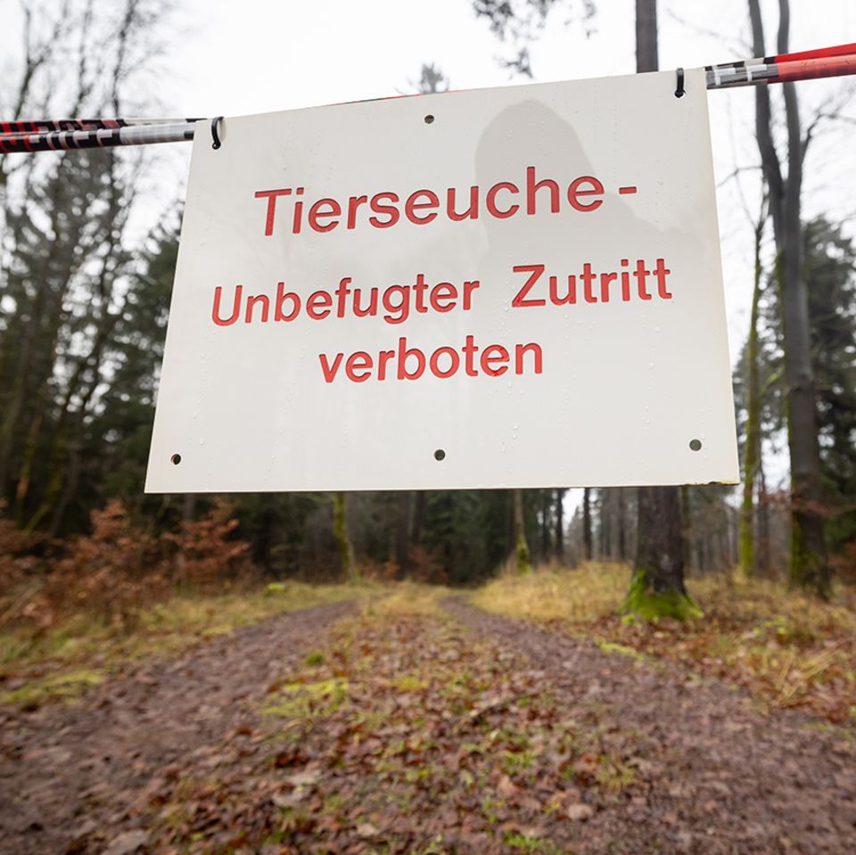 Tierseuchen