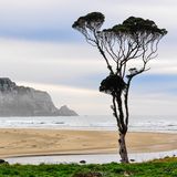Purakaunui Bay, Neuseeland