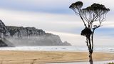 Purakaunui Bay, Neuseeland