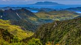 Great Barrier Island, Neuseeland