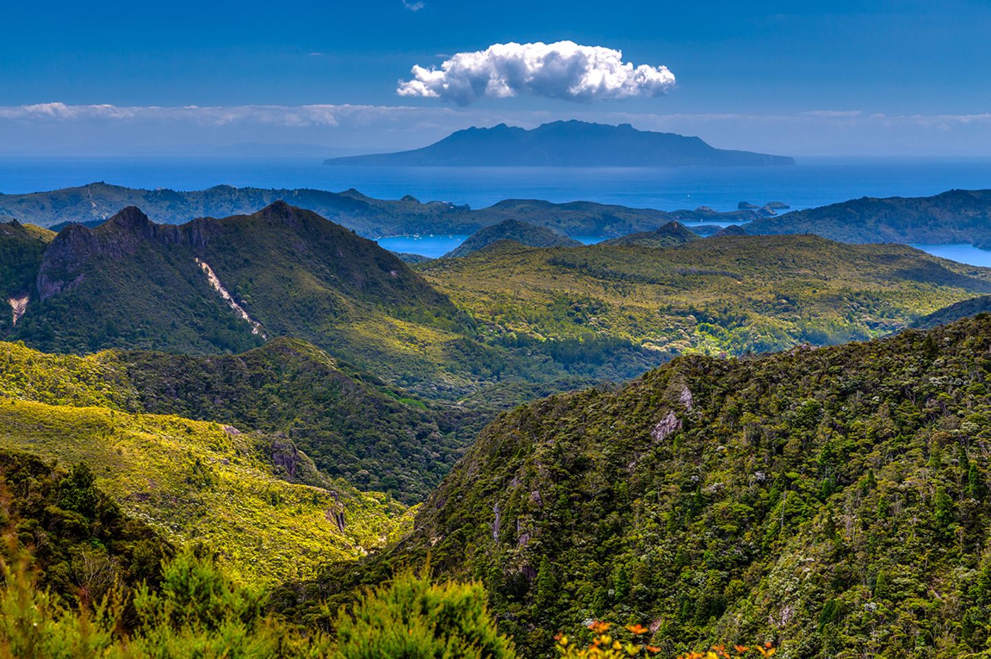 Great Barrier Island, Neuseeland