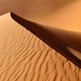 Sahara