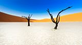Wüste Namib