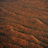 Große Victoria-Wüste