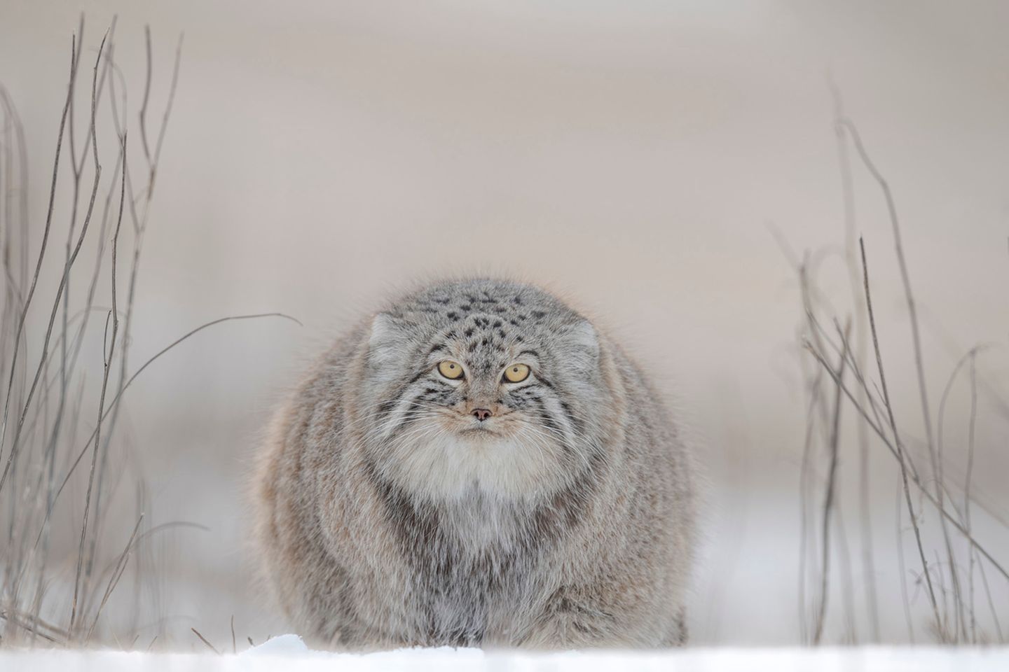 Fotowettbewerb: Preisgekrönte Bilder: Diese Fotos feiern die Kraft und Schönheit der Natur - Bild 6 Travel Photographer of the Year