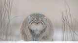 Travel Photographer of the Year