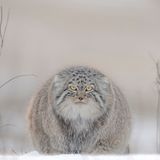 Travel Photographer of the Year