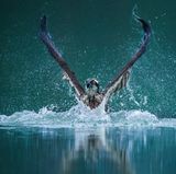 Travel Photographer of the Year