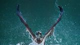 Travel Photographer of the Year