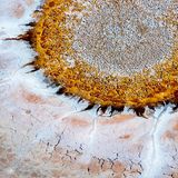 Travel Photographer of the Year