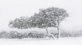 Travel Photographer of the Year