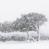 Travel Photographer of the Year