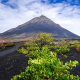 Pico de Fogo