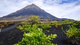 Pico de Fogo