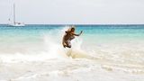 Surfer im Meer von Sal