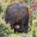 Travel Photographer of the Year