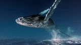 Travel Photographer of the Year