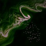 Travel Photographer of the Year