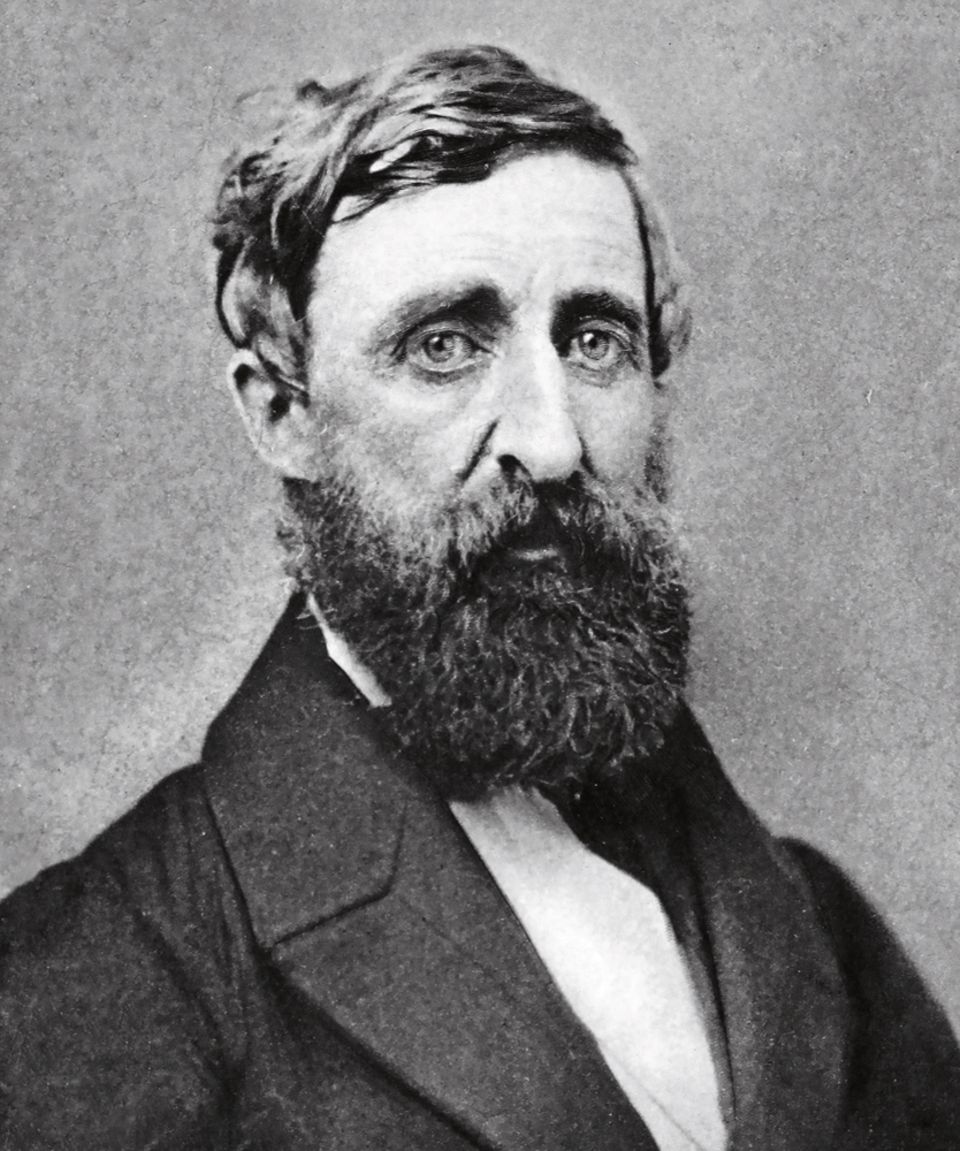 HENRY DAVID THOREAU HENRY DAVID THOREAU