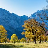 Ahornboden im Karwendelgebirge, Österreich