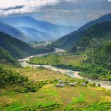 Reisfelder und Häuser im Punakha-Tal, Bhutan