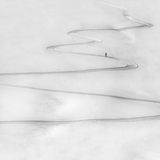 Peter Svoboda, Slovakia, Winner, National Awards, 2021 Sony World Photography Awards