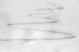 Peter Svoboda, Slovakia, Winner, National Awards, 2021 Sony World Photography Awards