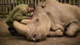 Ami Vitale/ Wildlife Photographer of the Year